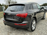 Audi Q5 Bi-Xenon 4x4 Gwarancja Kutno - zdjęcie 6