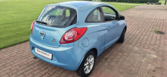Ford KA GRZANE FOTELE Paproć - zdjęcie 7