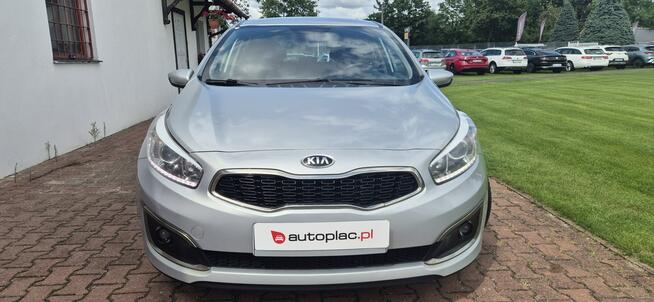 Kia Cee'd LED-MEDIA Paproć - zdjęcie 2