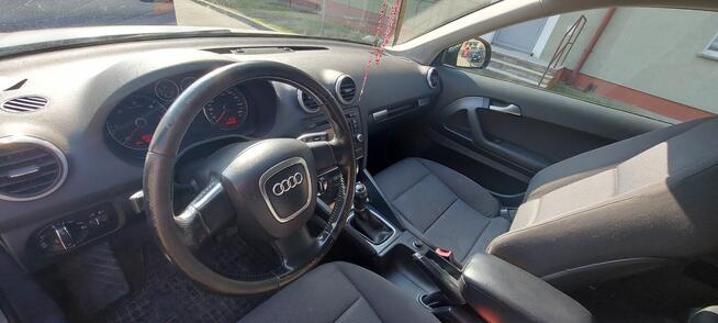 Audi A3 8P 1.6 TDI 2010 Nysa - zdjęcie 6