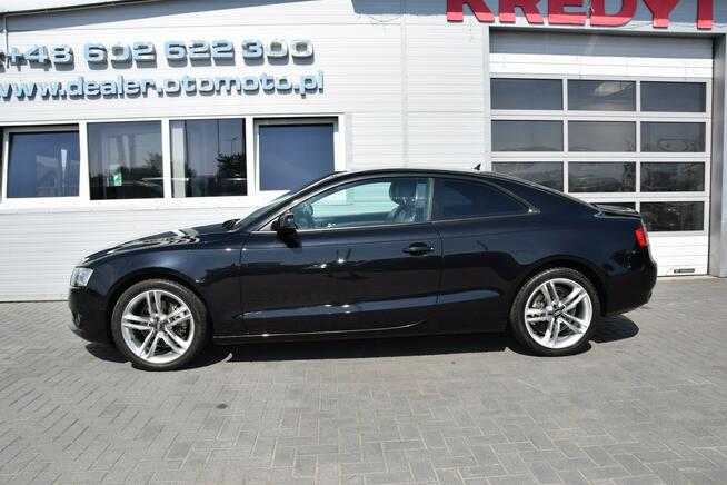 Audi A5 2.0 TDI Bi-Xenon LED Navi Skóra 232 tys.km. Euro-5 Hrubieszów - zdjęcie 11