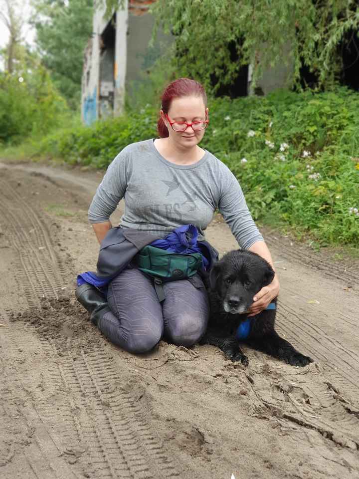 Fenomenalny pieszczoch, absolutnie zakochany w ludziach szuka domu! Ochota - zdjęcie 7