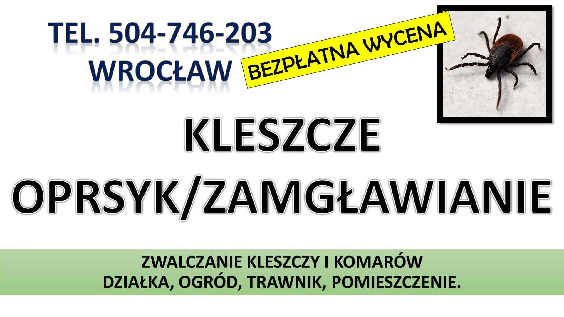 Zwalczanie kleszczy, cena, Wrocław, t504-746-203, Opryski, likwidacja. Psie Pole - zdjęcie 6