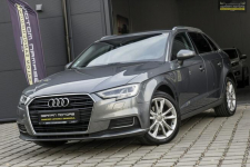 Audi A3 Led / S-tronic / Duża Navi / Skóry / HAK / Gwarancja na Rok Dębogórze - zdjęcie 4