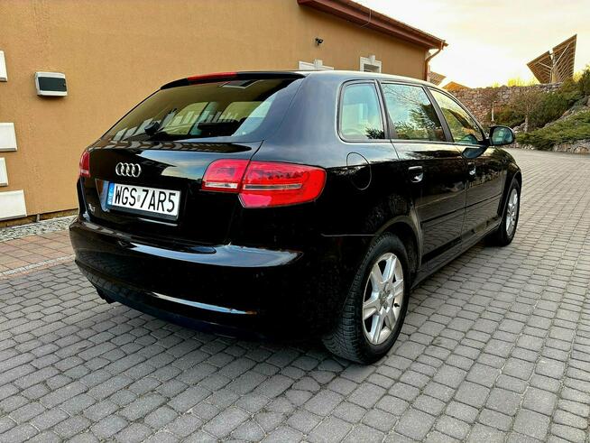 Audi A3 Lift 1.9 TDI DSG 5 Drzwi Serwis Zagnańsk - zdjęcie 4