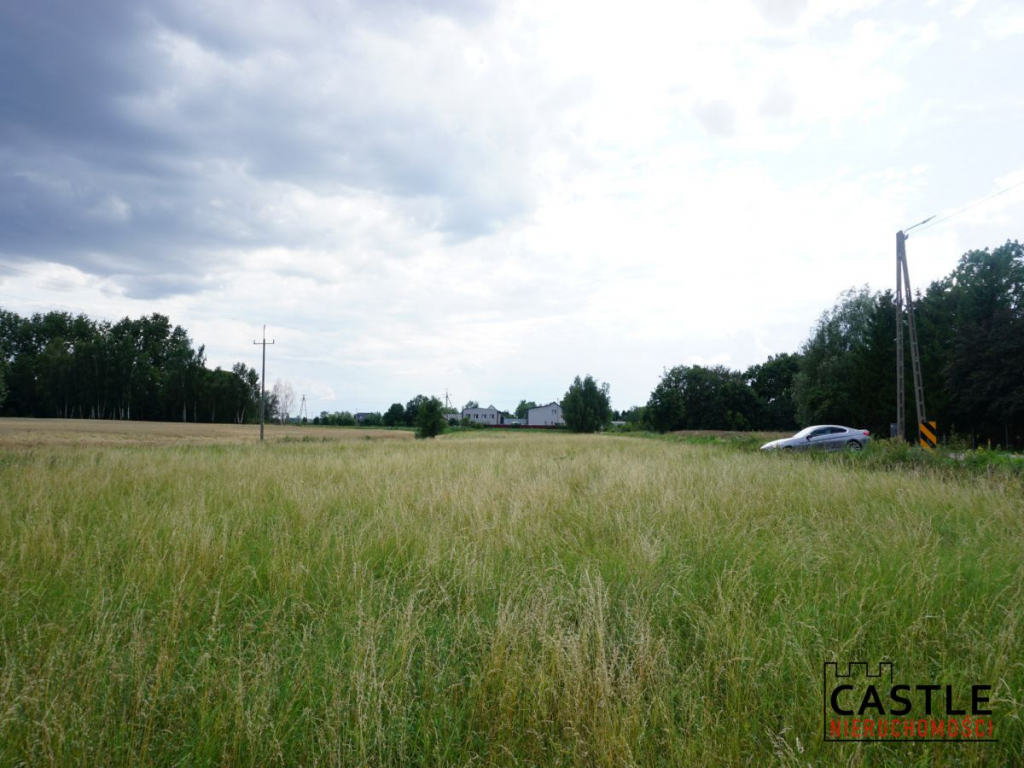 Działka 6303 m² | Bogatka koło Gdańska Bogatka - zdjęcie 2