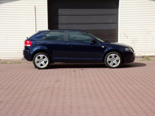 Audi A3 Klimatronic /Gwarancja /1,9 TDI/105KM /2007R  /Lift Mikołów - zdjęcie 10