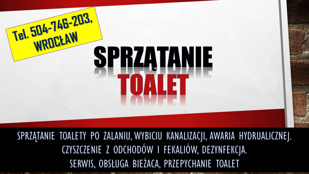 Sprzątanie zabrudzonych toalet, tel. 504-746-203. Wrocław. fekalia Psie Pole - zdjęcie 1