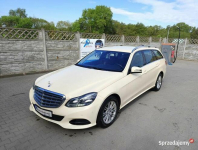 Mercedes E220 CDI super stan ZAMIANA