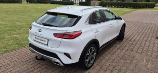 Kia XCeed KAMERA-HAK-LED-MEDIA Paproć - zdjęcie 8