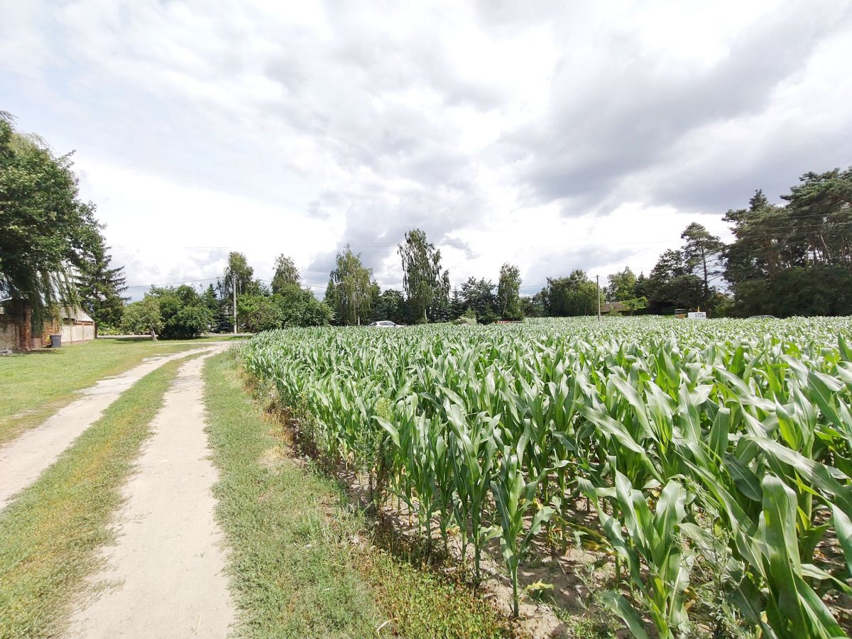 Działka z WZ, magazynowo - biurowe. Wysoczka - zdjęcie 5