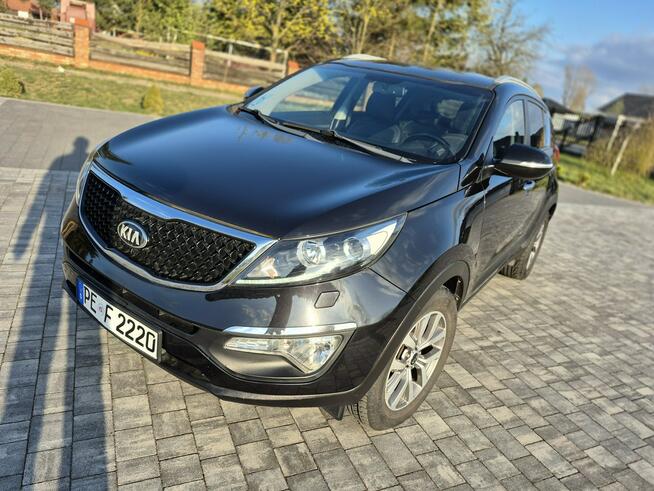 Kia Sportage kamera xenon navigacja skóra Import Francja bez korozji Drelów - zdjęcie 4