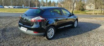 Renault Megane Krajowy, drugi właściciel. Goczałkowice-Zdrój - zdjęcie 4