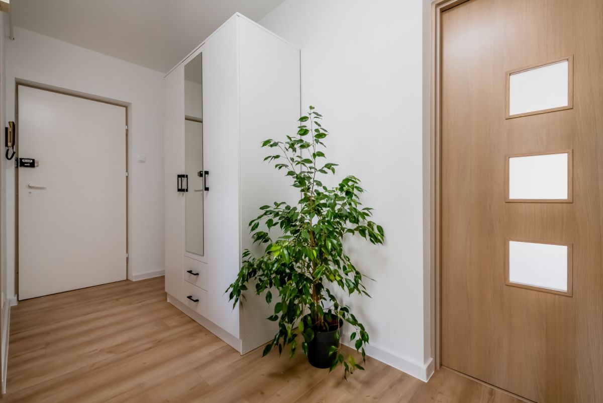 2 pokoje | 38 m² | cegła | ul. Palmowa-Dziesięciny Białystok - zdjęcie 10