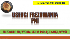 Frezowanie pni, cena, tel. 504-746-203, Wrocław, usuwanie pnia. Psie Pole - zdjęcie 3