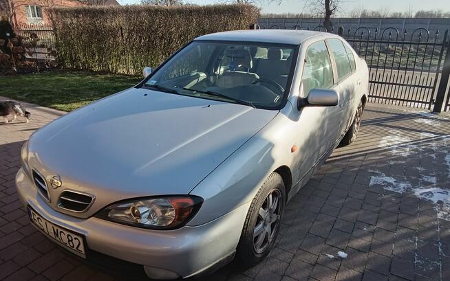 Sprzedam Dzigorzew - zdjęcie 2