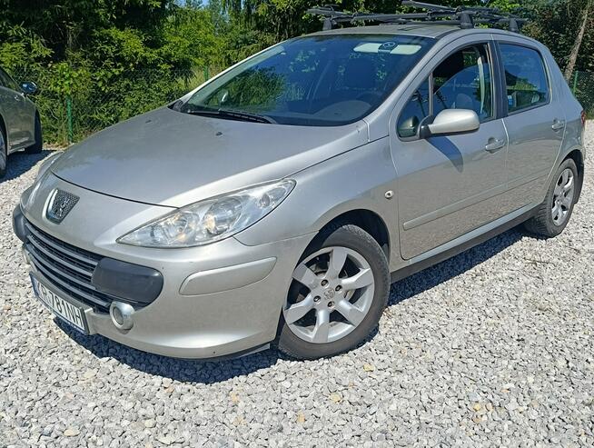 Peugeot 307 Krajowy, benzyna 1.6, klimatyzacja Dulowa - zdjęcie 2