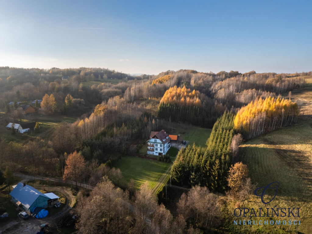 3- piętrowy dom z potencjałem w pięknej okolicy Hucisko Jawornickie - zdjęcie 3