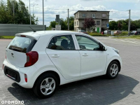 Kia Picanto 1.0 L Business Line Krosno - zdjęcie 7