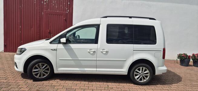 Volkswagen Caddy 5 OSOB-MEDIA-NAVI Paproć - zdjęcie 4