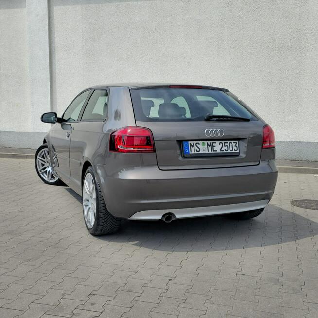 Audi A3 3-drzwiowe 1.6 TDI S line Sportpaket 105KM Manual Ostrów Mazowiecka - zdjęcie 10