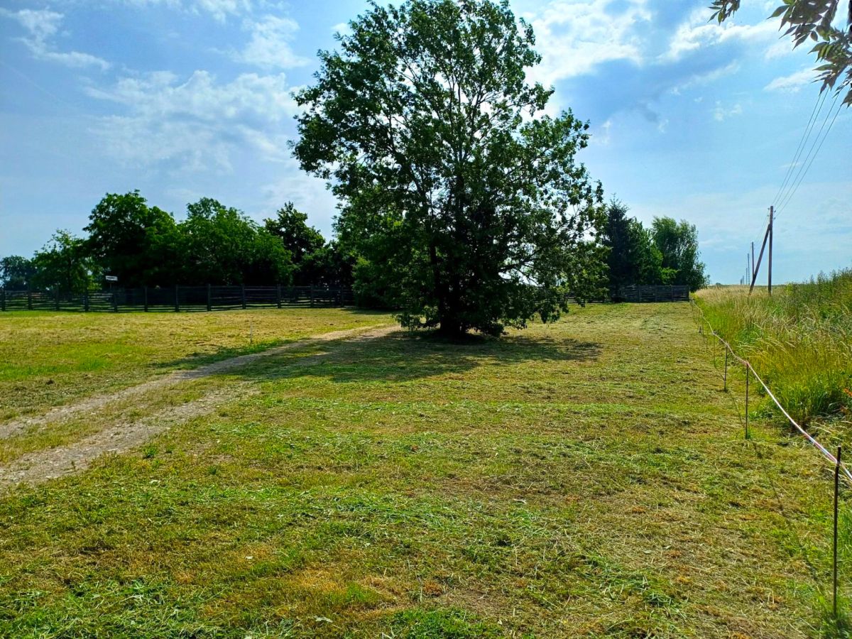 Działka inwestycyjna, usługowa lub mieszkaniowa pr Młodasko - zdjęcie 8