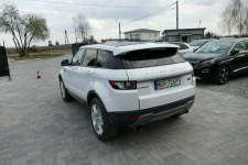 Land Rover Range Rover Evoque Panorama! Kamera! Gwarancja! Grójec - zdjęcie 11