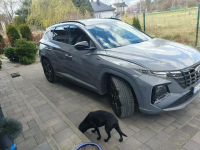 Hyundai Tucson executive  , n line , 48 v Chełm Śląski - zdjęcie 3