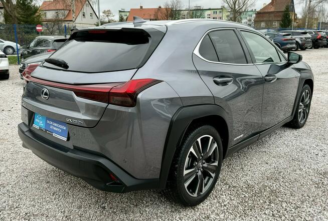 Lexus UX 250h,Hybryda,4x4,Gwarancja Kamienna Góra - zdjęcie 6