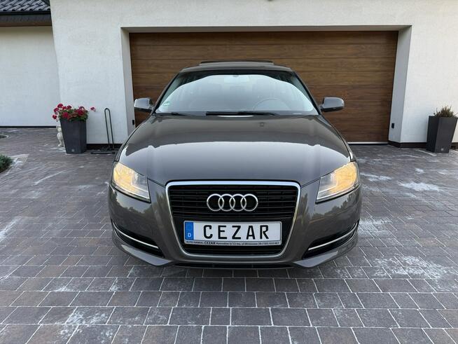 Audi A3 2.0 tdi 140KM super stan bezwypadkowy z Niemiec Konradów - zdjęcie 2