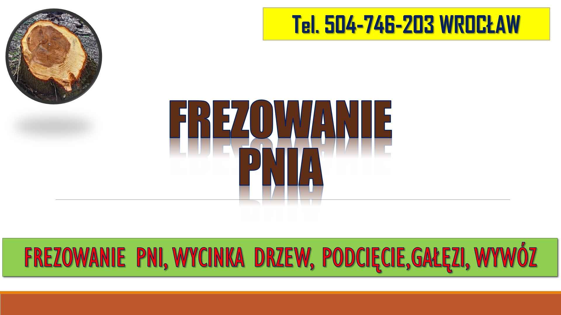 Frezowanie pni, cena, tel. 504-746-203, Wrocław, usuwanie pnia. Psie Pole - zdjęcie 2