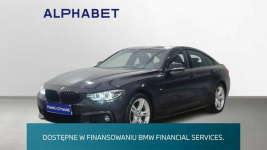 420i GPF xDrive M Sport aut Salon PL 1wł. Warszawa - zdjęcie 1