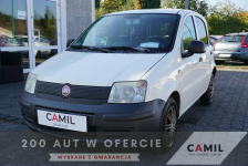 Fiat Panda polski salon
