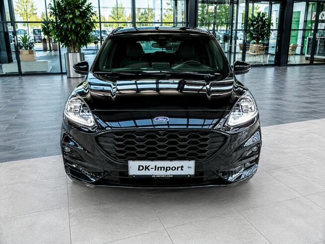 Ford Kuga Sadlno - zdjęcie 2