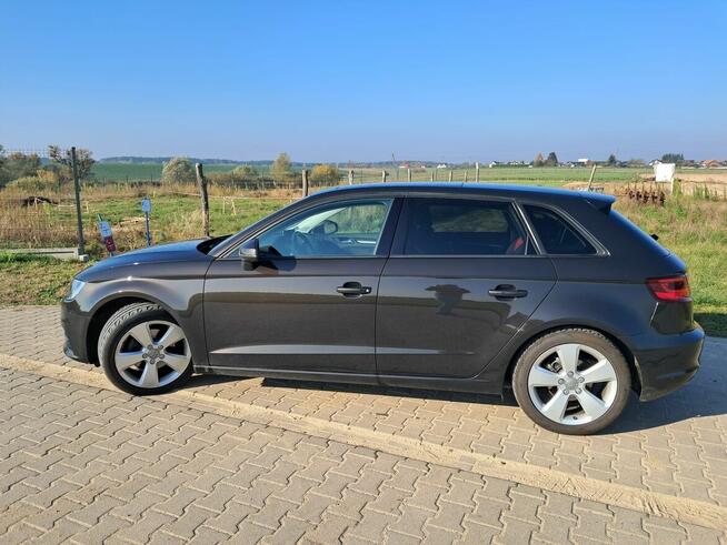 Audi A3 8V sportback Międzychód - zdjęcie 5