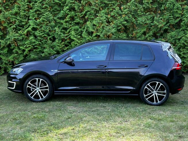 Volkswagen Golf #Xenon #GTE #DSG Laskowo - zdjęcie 5