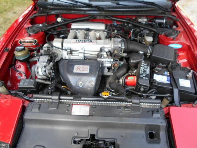 Celiica Wierzchucino - zdjęcie 7