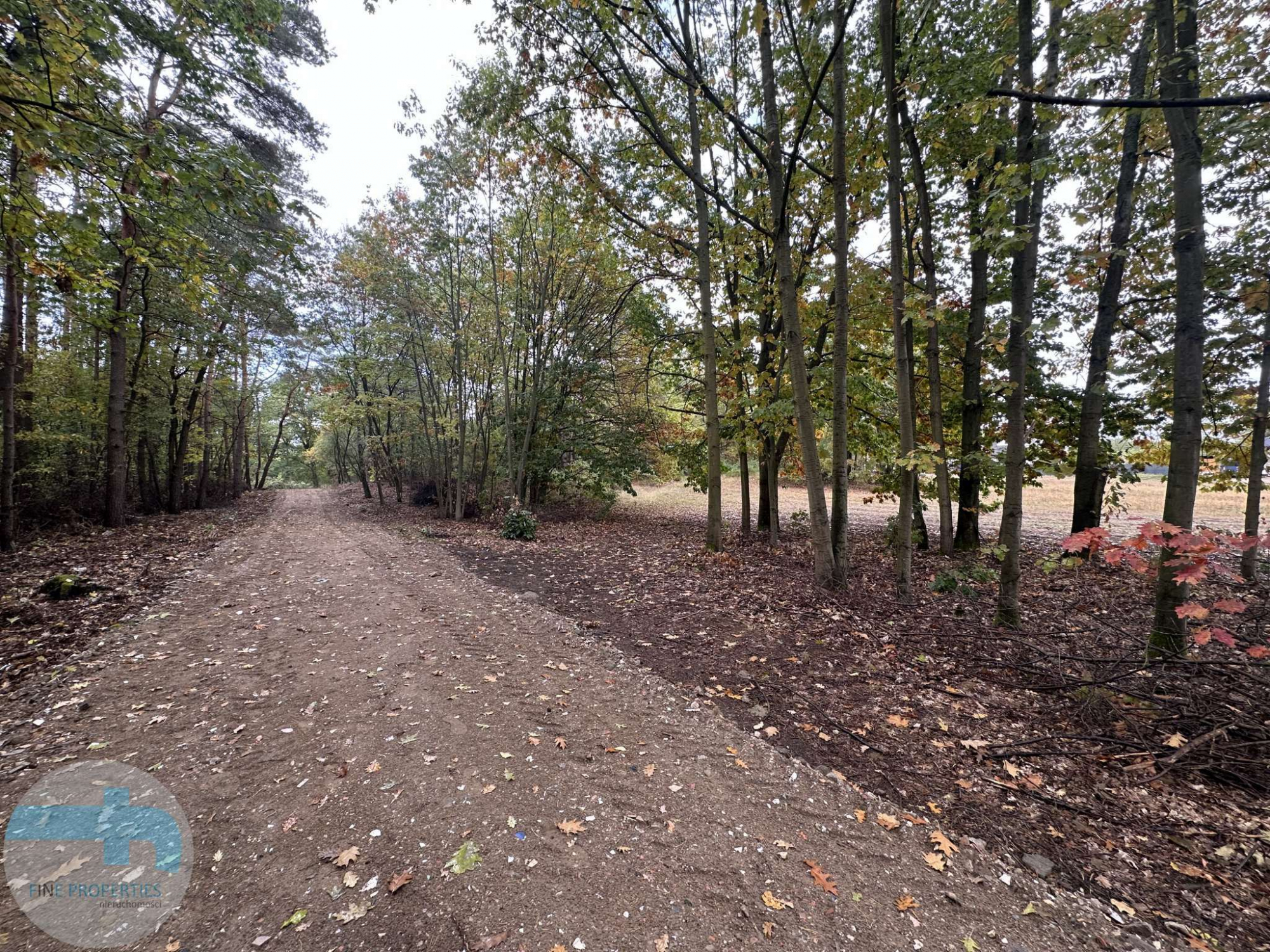 Atrakcyjna działka budowlana blisko lasu Kałuszyn - zdjęcie 1
