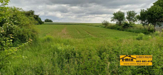 Działka z domem i możliwością jego rozbudowy - 5 km od Chojnowa Chojnów - zdjęcie 10