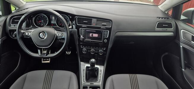 Volkswagen Golf Paproć - zdjęcie 10