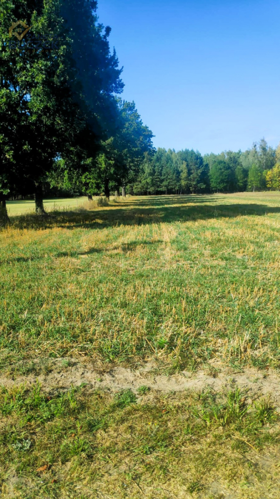Sprzedam działkę budowlaną w Lasocinie Lasocin - zdjęcie 7