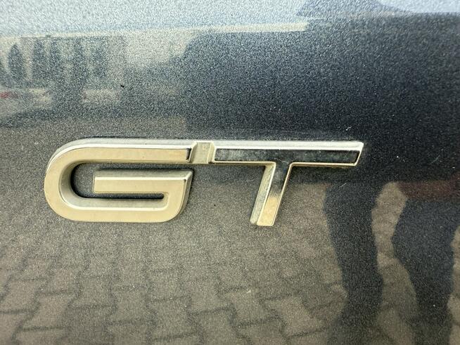 Renault Megane Sport Gt Zielona Łąka - zdjęcie 8