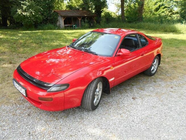 Celiica Wierzchucino - zdjęcie 1