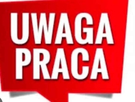 Praca w markecie, Dino Polska S.A. - Świebodzice