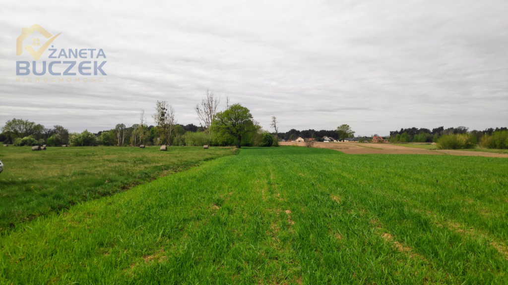 Sprzedam działkę w Helence, w gminie Młodzieszyn Helenka - zdjęcie 4