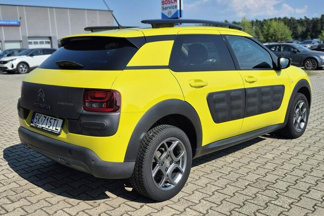 C4 Cactus  - Bezwypadkowy - Polska - Nawigacja Studzienice - zdjęcie 5