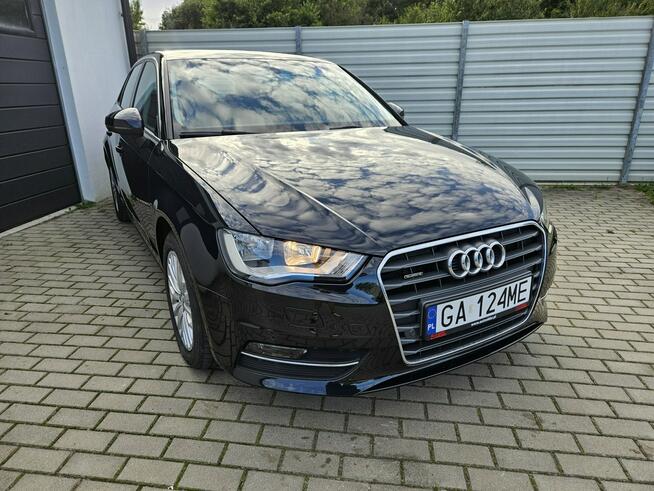 Audi A3 2.0 TDI 150KM quattro PO SERWISIE 5 drzwi BEZWYPADEK bdb stan Gdynia - zdjęcie 5