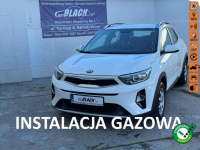 Kia Stonic Pisemna Gwarancja 12 miesięcy - LPG