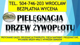 Przycinanie gałęzi, cena,  t.504-746-203, Wrocław,  przycięcie,cięcie Psie Pole - zdjęcie 4