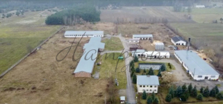 Hale z magazynami, linią produkcyjną Białołęka - zdjęcie 2